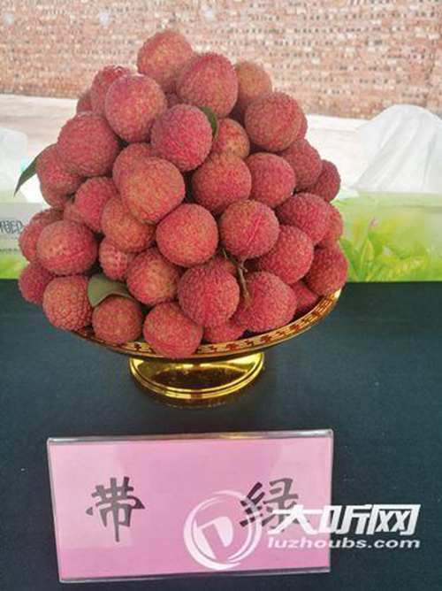 合江荔枝总产量达6千万斤以上预计产值超15亿(图5)