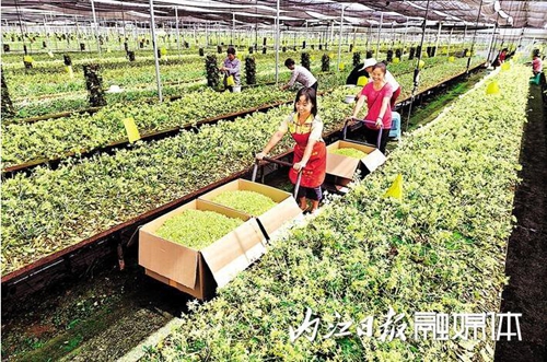 科技，为甜城农业“酿”出甜蜜滋味(图3)