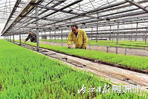 科技，为甜城农业“酿”出甜蜜滋味(图4)