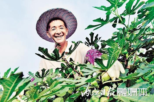 科技，为甜城农业“酿”出甜蜜滋味(图8)