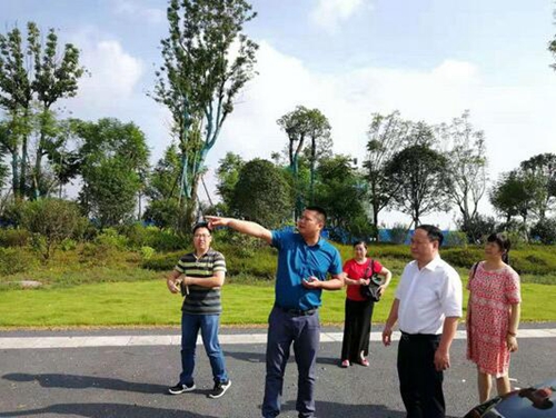 科技和人才局认真抓好全国文明城市复检工作(图2)