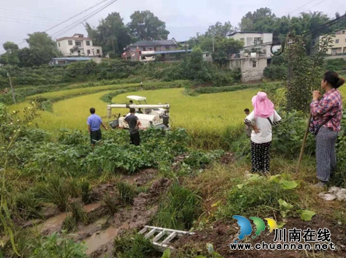 泸县云龙镇：农忙时节&nbsp;送法到田间(图1)