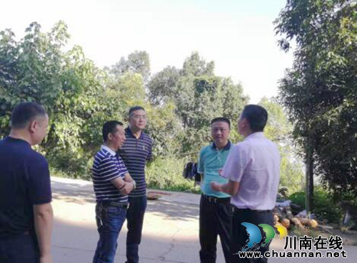 合江县县委常委、常务副县长王晓谦检查指导地灾防治工作