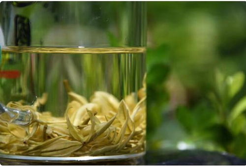 白茶西行记(图1)