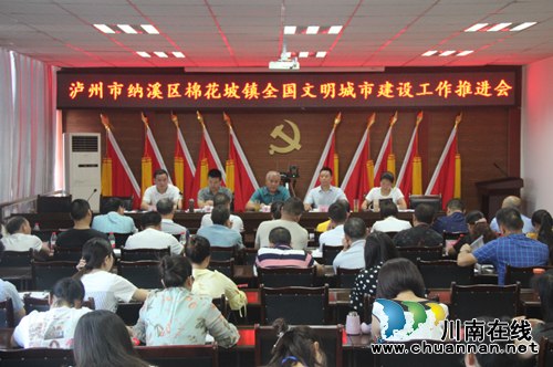 纳溪区棉花坡镇召开全国文明城市建设工作推进会