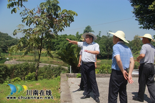 泸州市副市长薛学深带队调研云龙镇农村人居环境治理工作推进情况
