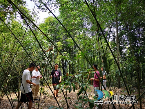 叙永县：开展基站建设“深覆盖”&nbsp;确保乡村信号“全满格”(图1)