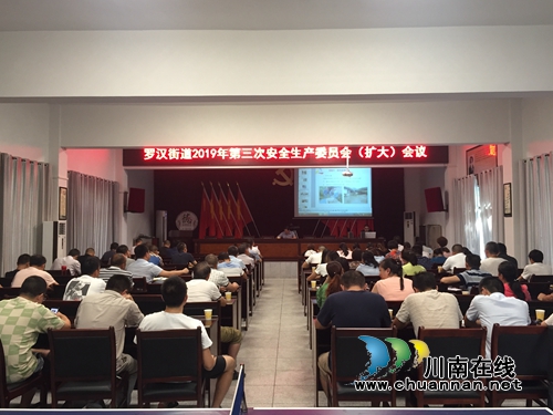 龙马潭区罗汉街道召开2019年第三次安全生产委员会（扩大）会议(图1)