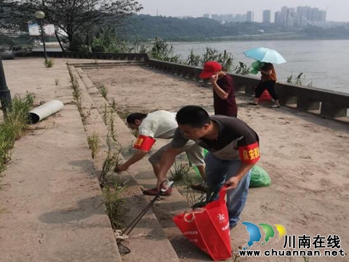 江阳区北城街道：清河护岸我们在行动(图1)