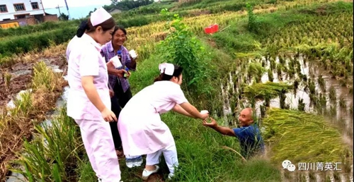 农民稻田秋收忙&nbsp;泸县新联会送清凉(图2)