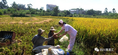 农民稻田秋收忙&nbsp;泸县新联会送清凉(图3)