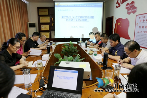 泸州保安公司党委中心组：召开专题学习会&nbsp;在学懂弄通做实上下功夫(图1)