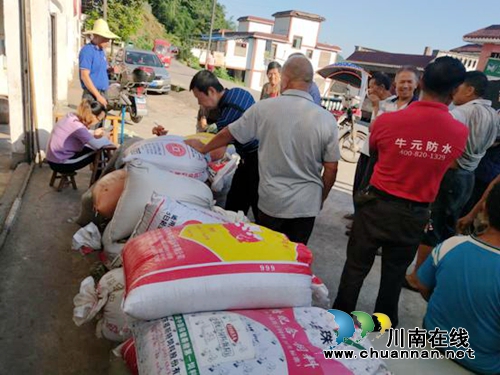 安逸！合江实录镇糯红高粱换成大把“红票子”(图3)