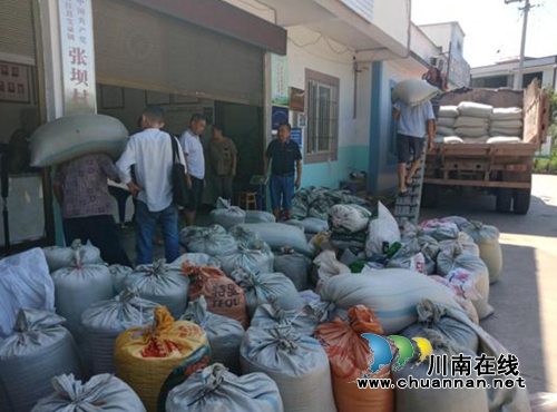 安逸！合江实录镇糯红高粱换成大把“红票子”(图6)