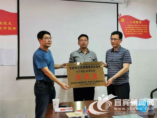 宜宾援助雅江县&nbsp;成功创建首个基层癌痛示范点(图1)