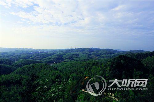 纳溪百万亩林竹助农“竹梦”小康&nbsp;50万人享红利(图1)