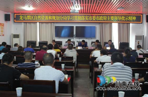 龙马潭区自然资源和规划分局召开贯彻落实市委市政府主要领导批示精神会(图1)