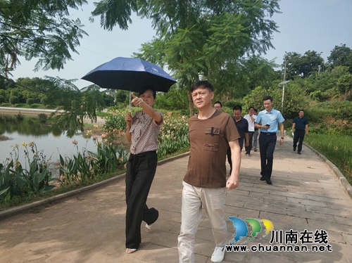 杜作文带队到泸县云龙镇指导农村人居环境治理工作(图1)