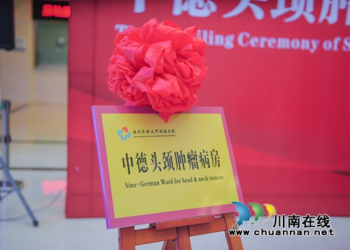 西南医大附院中德头颈肿瘤病房授牌成立(图3)