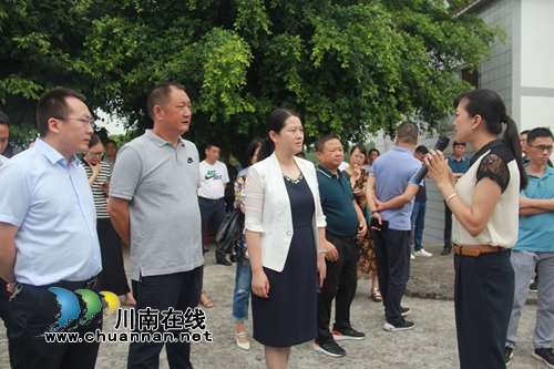 全市乡村振兴及现代农业园区创建、农村人居环境整治、农村改革暨竹产业发展现场会走进泸县云龙镇(图1)