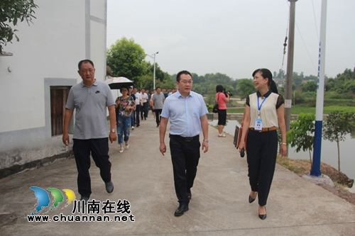 全市乡村振兴及现代农业园区创建、农村人居环境整治、农村改革暨竹产业发展现场会走进泸县云龙镇(图2)