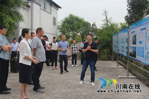 全市乡村振兴及现代农业园区创建、农村人居环境整治、农村改革暨竹产业发展现场会走进泸县云龙镇(图3)
