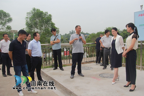 全市乡村振兴及现代农业园区创建、农村人居环境整治、农村改革暨竹产业发展现场会走进泸县云龙镇(图4)