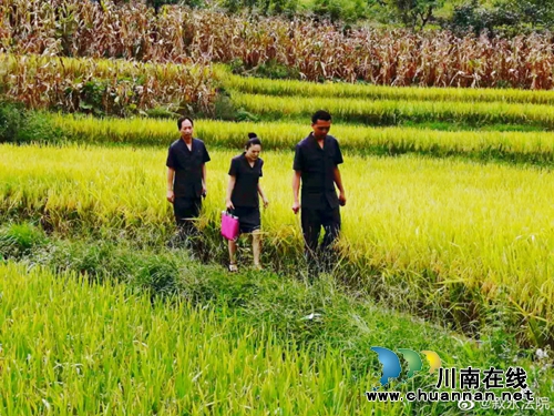 泸州法院系统2019年“执行大会战”首战告捷(图8)