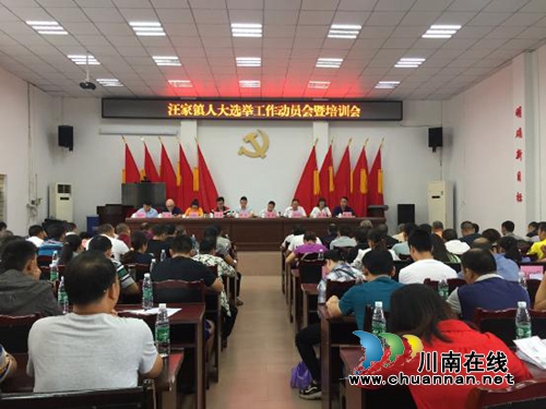 宜宾南溪区汪家镇全面启动人大选举工作(图1)
