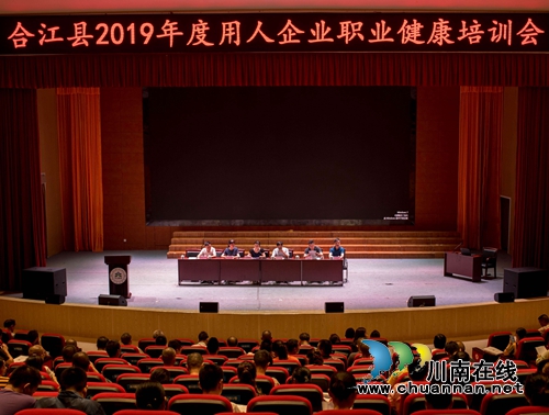 合江县召开2019年用人企业职业健康培训会(图1)