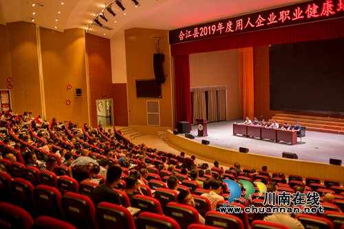 合江县召开2019年用人企业职业健康培训会(图2)