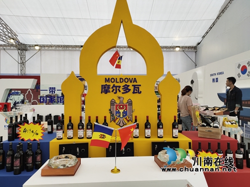 2019第七届中国（泸州）西南商品博览会开幕(图7)