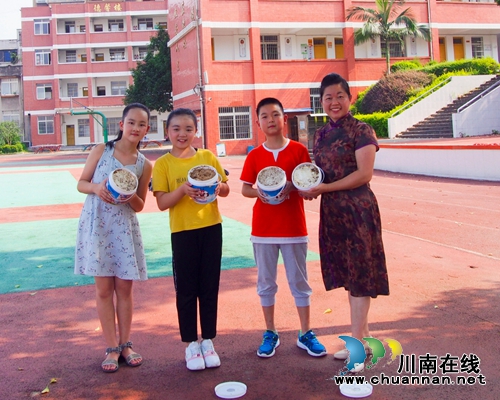 泸县得胜小学科技班的孩子们培育的蘑菇收获啦(图1)