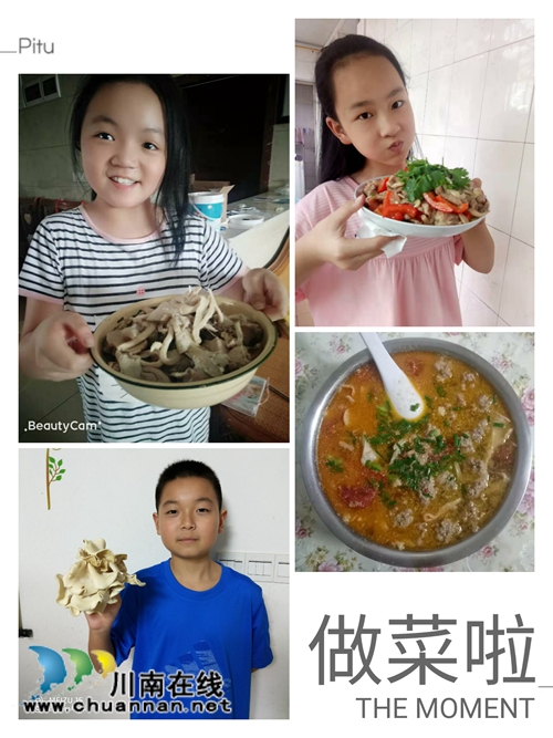 泸县得胜小学科技班的孩子们培育的蘑菇收获啦(图6)