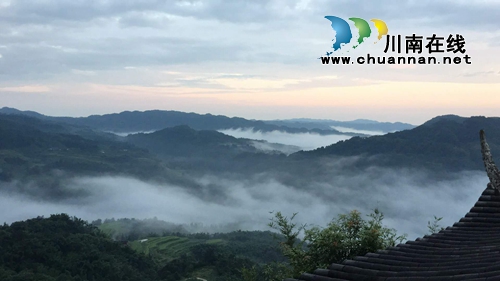 中国沈酒斩获布鲁塞尔国际烈酒大赛大金奖(图9)