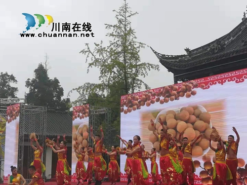 雨润林间蕴“桂”香！张坝桂圆节六度“开花”(图3)