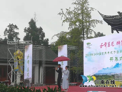 雨润林间蕴“桂”香！张坝桂圆节六度“开花”(图6)