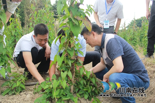 杜作文到泸县云龙镇开展教师节慰问活动(图1)