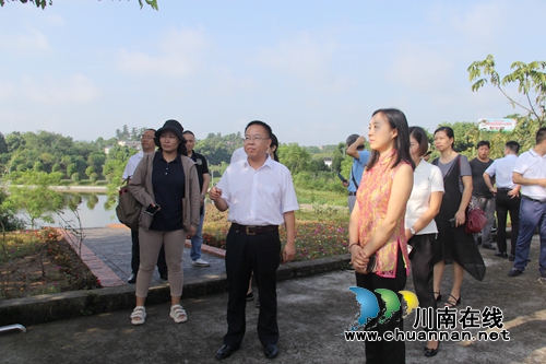 农业农村部到泸县云龙镇调研人居环境整治工作(图2)