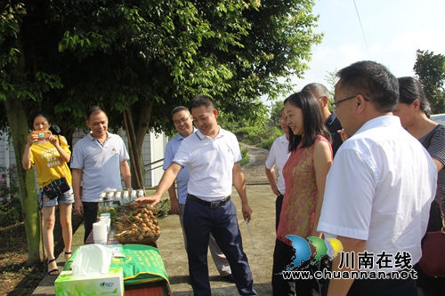 农业农村部到泸县云龙镇调研人居环境整治工作(图3)