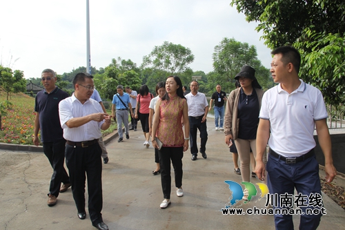 农业农村部到泸县云龙镇调研人居环境整治工作(图4)