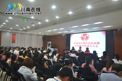 江阳区华阳街道佳乐商圈妇女联合会正式成立(图1)