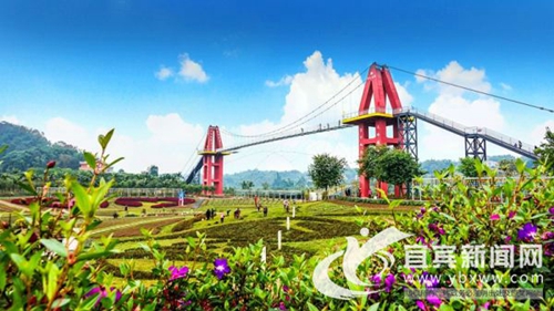 周末假日来宜宾长宁古河 领略花海无敌美景(图1) 周末假日来宜宾长宁古河 领略花海无敌美景(图1)