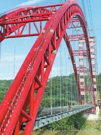 泸州市为保护珍稀鱼类这座桥一跨过江(图1) 泸州市为保护珍稀鱼类这座桥一跨过江(图1)