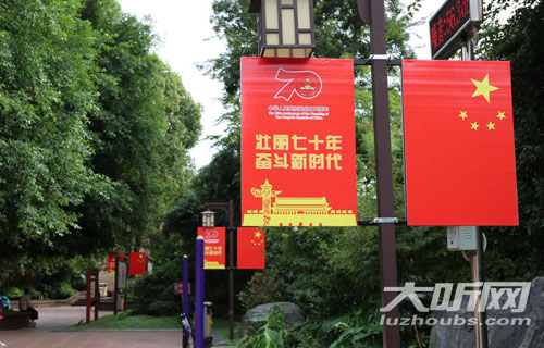 泸州城区15座公园开展国庆主题氛围营造(图2)