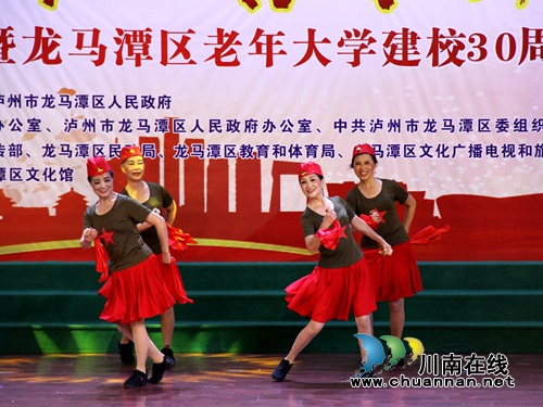 龙马潭举行老年大学建校30周年大会(图8)