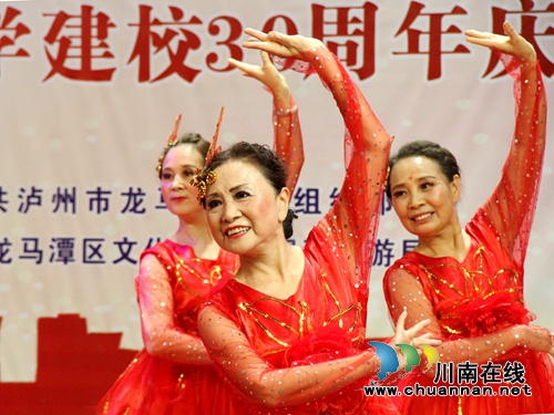 龙马潭举行老年大学建校30周年大会(图10)