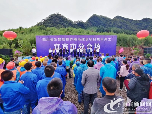 ​宜宾两个大型种猪场开工&nbsp;总投资3.7亿元(图1)