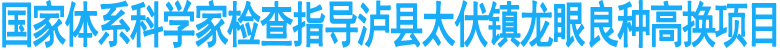 国家体系科学家指导太伏镇龙眼良种高换项目