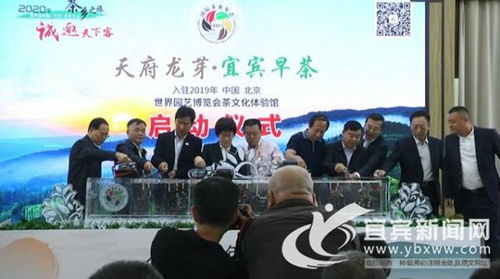 天府龙芽·宜宾早茶入驻世园会&nbsp;向世界发出邀请(图1)